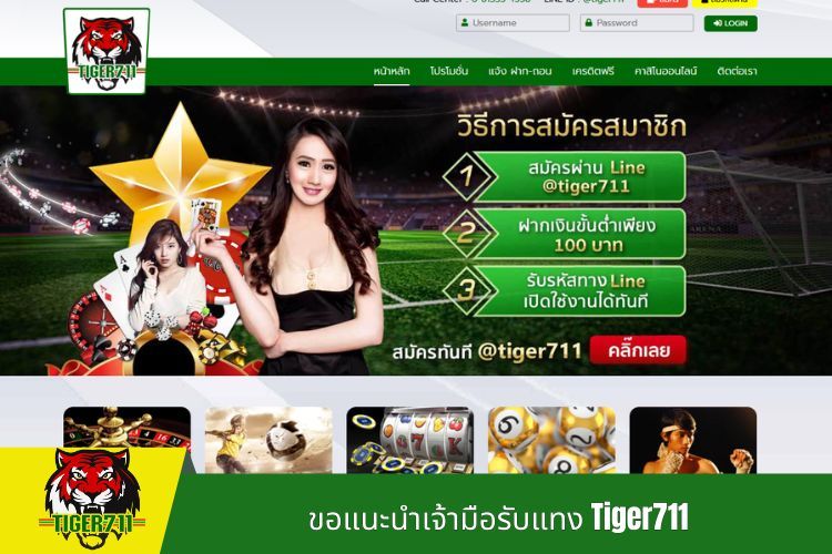 ขอแนะนำเจ้ามือรับแทง Tiger711 ผ่านฟีเจอร์ความปลอดภัยสูง