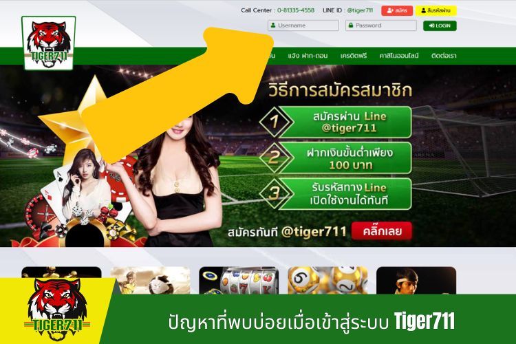 ปัญหาที่พบบ่อยเมื่อเข้าสู่ระบบ Tiger711